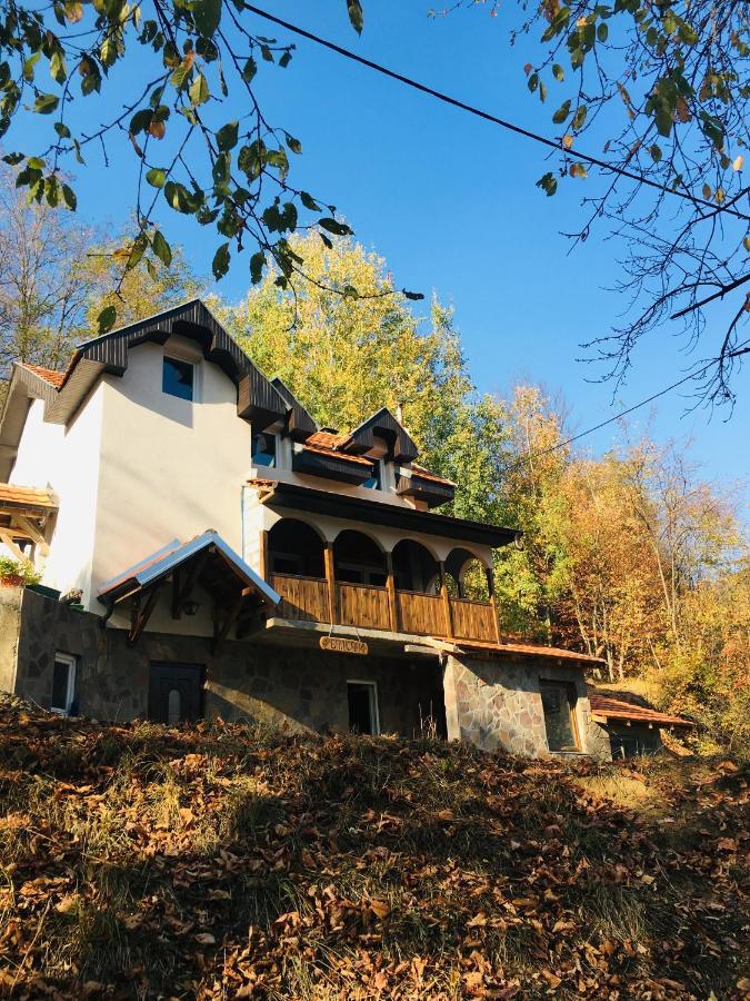 Kuca Za Odmor ,,Balkan” Crni Vrh Ngoại thất bức ảnh